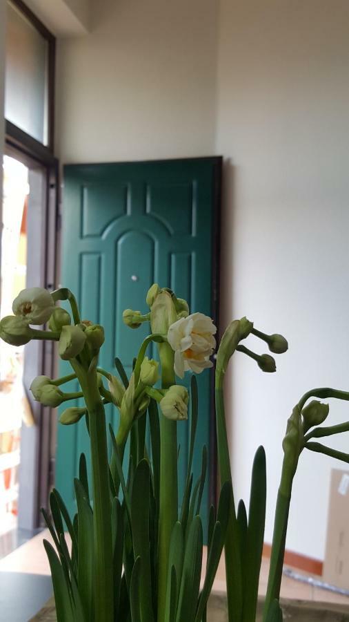 Il Giardino Sul Corso Apartment Scafati Exterior foto