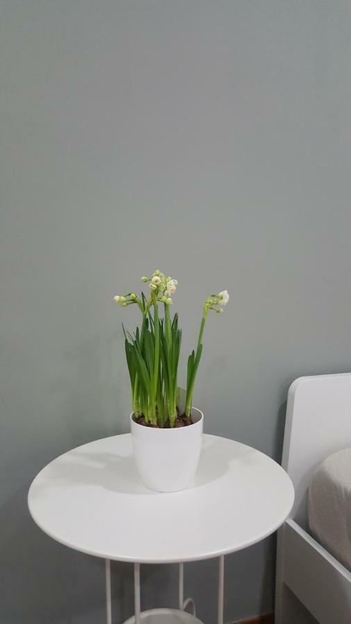 Il Giardino Sul Corso Apartment Scafati Exterior foto